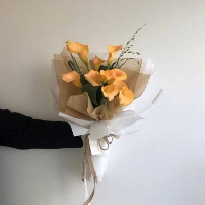 好运彩下载手机版