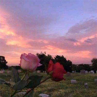 大发彩票app下载